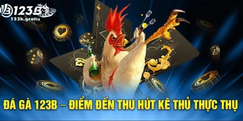 Đá gà 123b